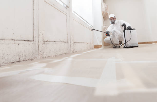 24/7 Emergency Mold Remediation experts in New Church, VA